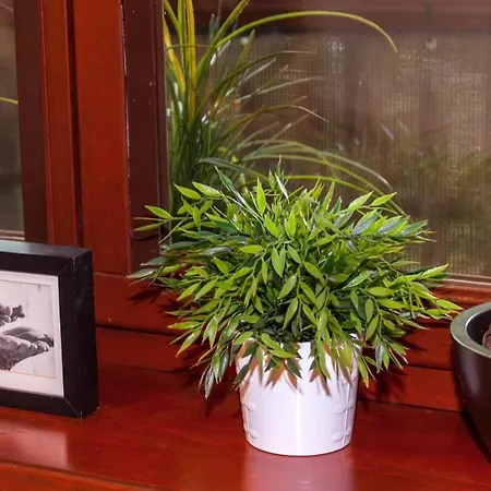 Apartment Rent Like - Sienkiewicza 2 Zakopane